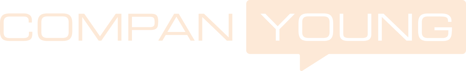 Companyoung Logo